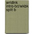 Wrldlnk Intro-Txt/Wkbk Split B
