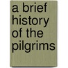 A Brief History Of The Pilgrims by William Bradford