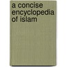 A Concise Encyclopedia Of Islam door Gordon Newby