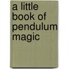 A Little Book Of Pendulum Magic door Deanna J. Conway