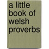 A Little Book Of Welsh Proverbs door Tecwyn Jones