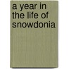 A Year In The Life Of Snowdonia door Bill Birkett