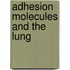 Adhesion Molecules and the Lung