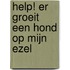 Help! Er groeit een hond op mijn ezel