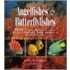 Angelfishes And Butterflyfishes