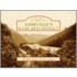 Asheville's River Arts District
