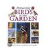 Attracting Birds To Your Garden