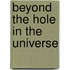 Beyond The Hole In The Universe
