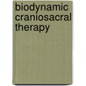 Biodynamic Craniosacral Therapy door Ph.D. Michael J. Shea