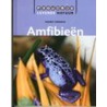 Amfibieen