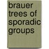 Brauer Trees of Sporadic Groups