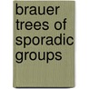 Brauer Trees of Sporadic Groups door K. Lux