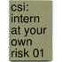 Csi: Intern At Your Own Risk 01