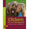 Clickern bis zur Prüfungsreife door Monika Sinner