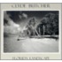 Clyde Butcher Florida Landscape