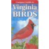 Compact Guide to Virginia Birds