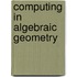 Computing in Algebraic Geometry