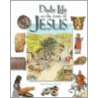 Daily Life At The Time Of Jesus door Miriam Feinberg Vamosh