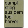 Dampf stieg aus dem Topf hervor door Ingrid Haslinger