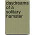 Daydreams of a Solitary Hamster