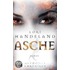 Die Phoenix-Chroniken 01. Asche