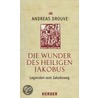 Die Wunder des heiligen Jakobus door Andreas Drouve