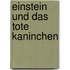 Einstein und das tote Kaninchen