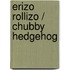 Erizo Rollizo / Chubby Hedgehog