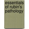 Essentials Of Rubin's Pathology door Howard M. Reisner