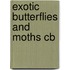 Exotic Butterflies And Moths Cb
