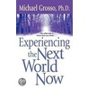 Experiencing The Next World Now door Michael Grosso