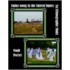 Falun Gong In The United States