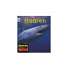 Haaien
