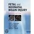 Fetal and Neonatal Brain Injury