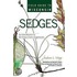 Field Guide To Wisconsin Sedges