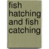 Fish Hatching And Fish Catching