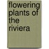 Flowering Plants Of The Riviera