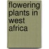 Flowering Plants in West Africa