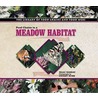 Food Chains in a Meadow Habitat by Isaac Nadeau