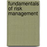 Fundamentals of Risk Management door Paul Hopkin