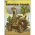 Galapagos Islands Coloring Book