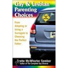 Gay & Lesbian Parenting Choices door Brette McWhorter Sember