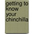 Getting To Know Your Chinchilla