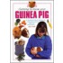 Getting To Know Your Guinea Pig