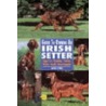 Guide To Owning An Irish Setter by Jackie O'Neil