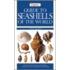 Guide To Seashells Of The World