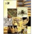 Guide To The Museum Of Scotland