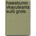 Hawakumn Vkayuteants Surb Grots