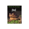Pad