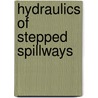 Hydraulics Of Stepped Spillways door Minor H. -E